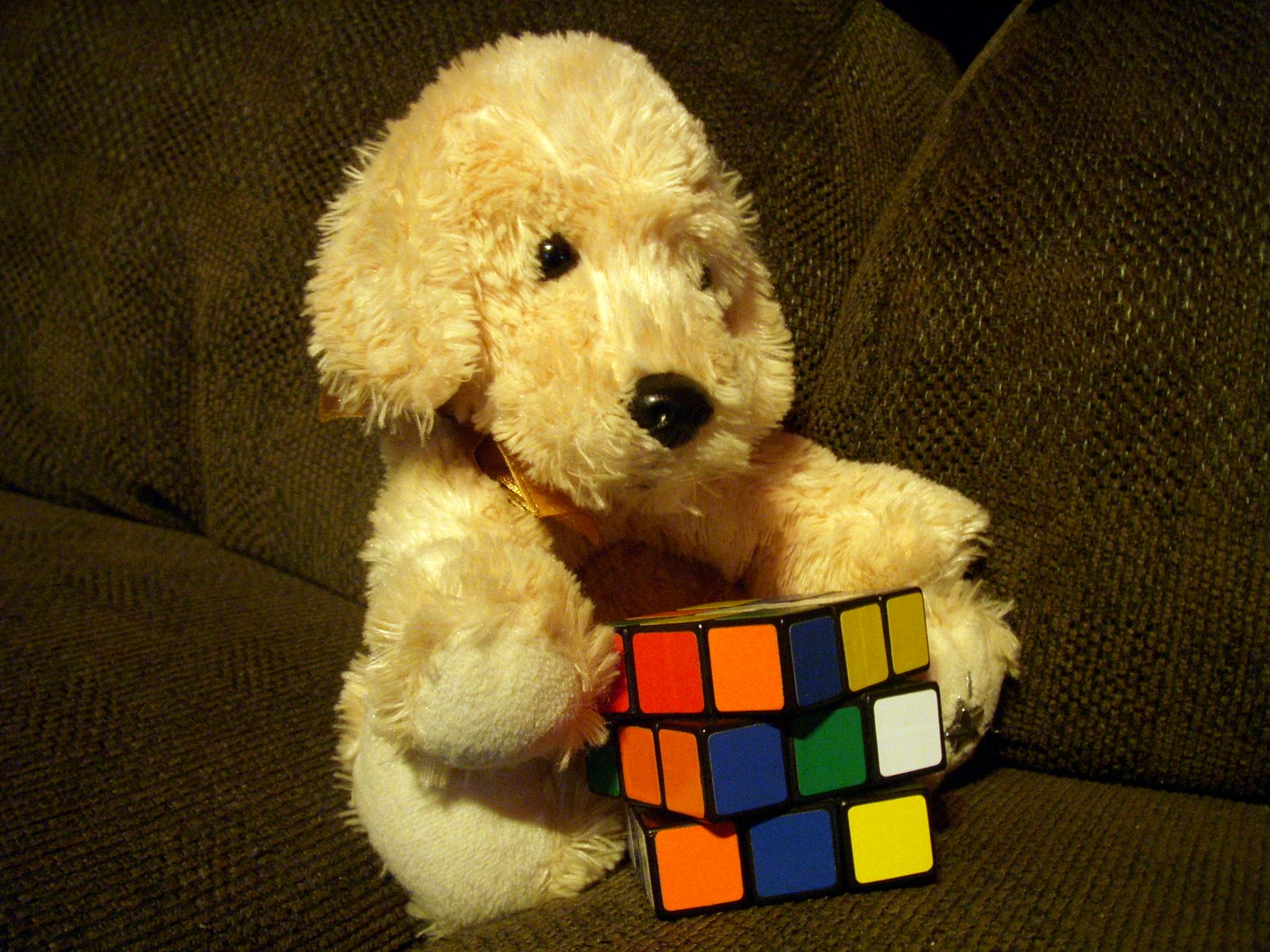 Couch, Dogs, Puppies, Stuffed, Animals, Rubiks, Cube - Rubiks Cubes And Dogs , HD Wallpaper & Backgrounds
