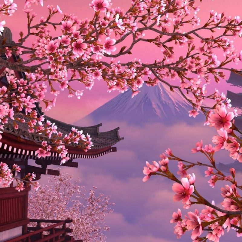10 Latest Cherry Blossoms Wallpaper Hd Full Hd 1920×1080 - Desktop Wallpaper Cherry Blossoms , HD Wallpaper & Backgrounds