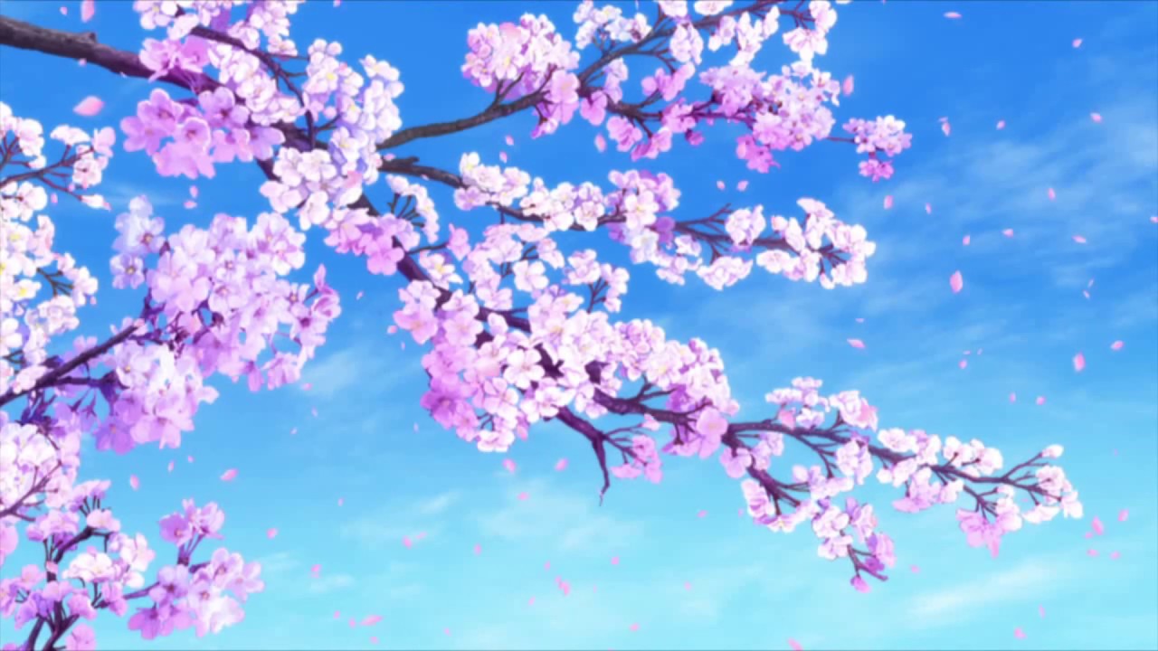 Falling Sakura - Wallpaper Engine - Sakura Falling , HD Wallpaper & Backgrounds