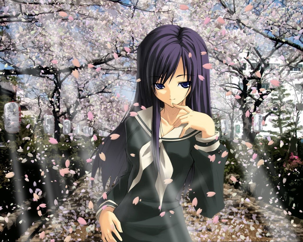 Cherry Blossom, Spring, Sasuke Uchiha, Girl, Sakura - Anime Con Viento , HD Wallpaper & Backgrounds