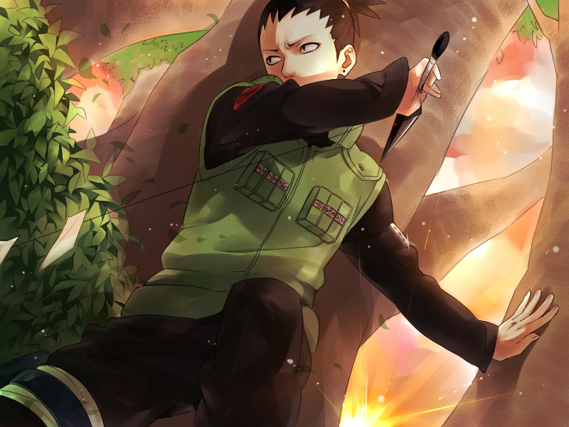 Nara Shikamaru Download Nara Shikamaru Image - Naruto Shikamaru , HD Wallpaper & Backgrounds