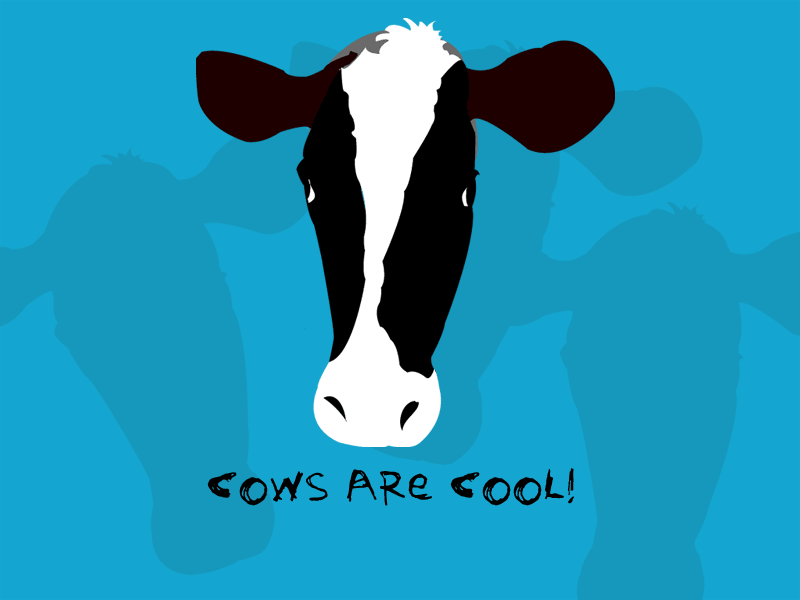Cows Are Cool , HD Wallpaper & Backgrounds