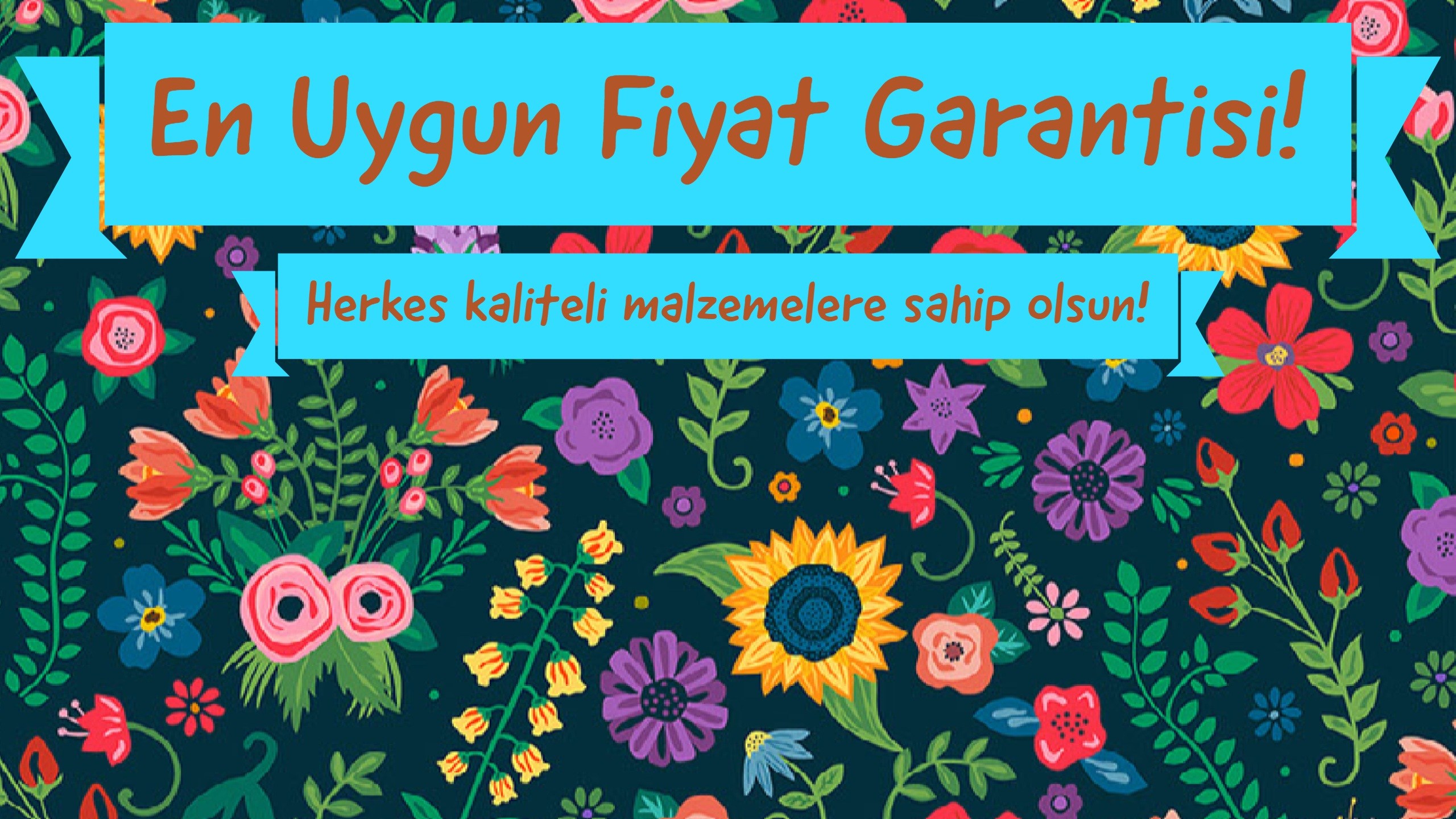 Kalemcik Türkiye Nin Sanatsal Boya Tedarikçisi Kalemcik - African Daisy , HD Wallpaper & Backgrounds