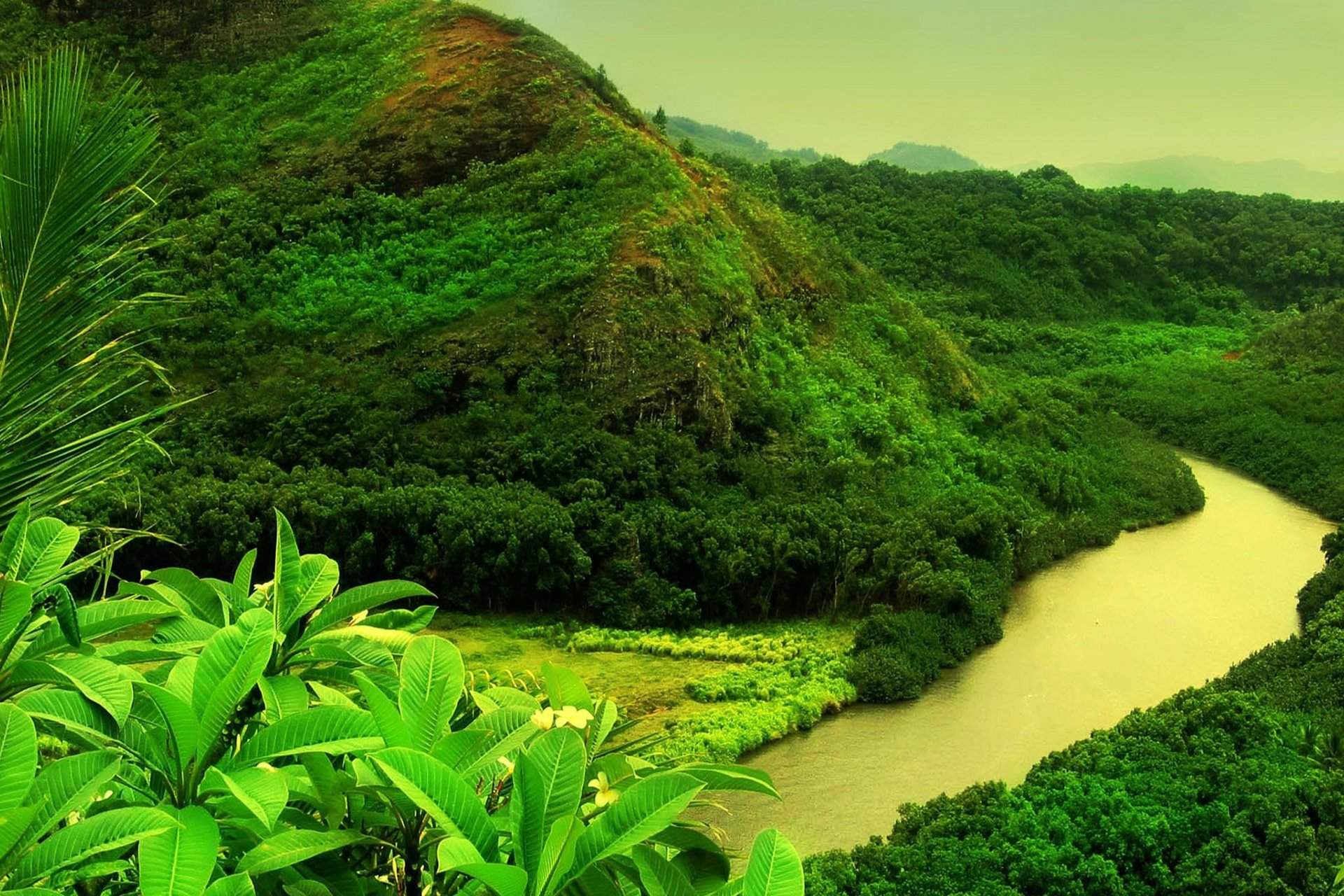 Wailua River , HD Wallpaper & Backgrounds