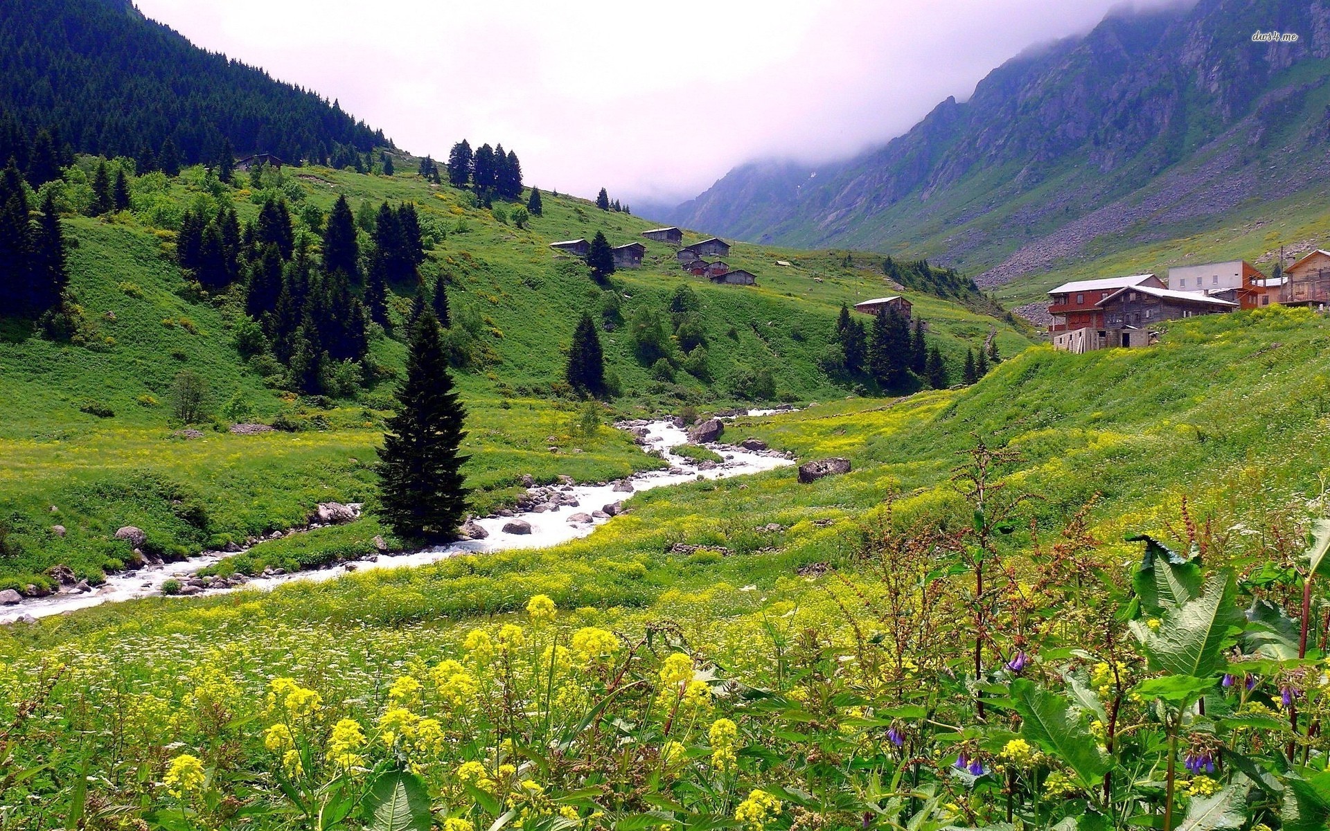 Rize, Turkey Hd Wallpaper - Beautiful Full Hd Wallpaper Downloaded , HD Wallpaper & Backgrounds