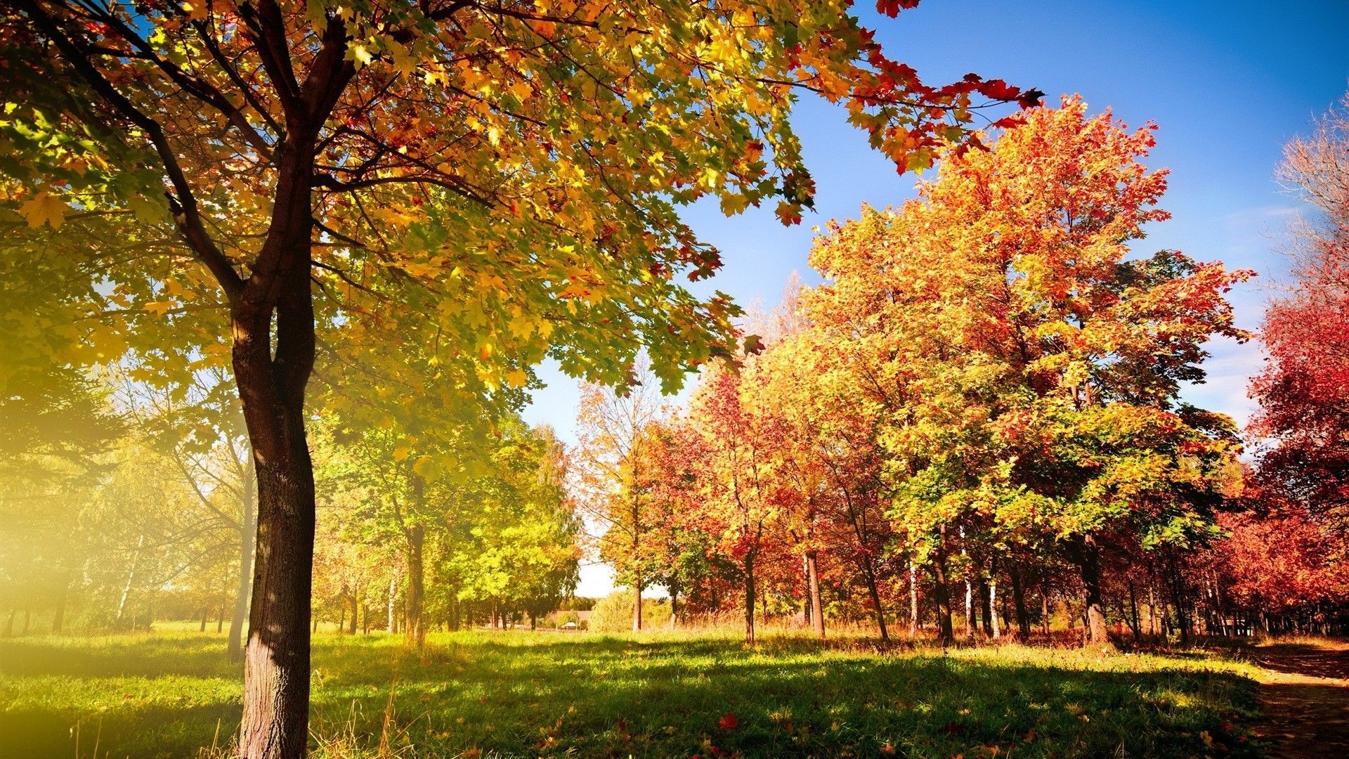 2560x1600, Beautiful - Beginning Of Fall Backgrounds , HD Wallpaper & Backgrounds