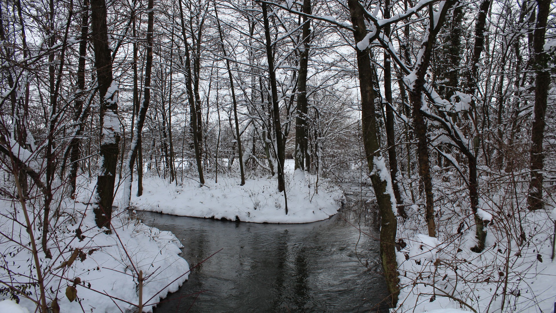 Landscapes Winter Is Coming Woodlands Wallpaper - Cold Forest , HD Wallpaper & Backgrounds