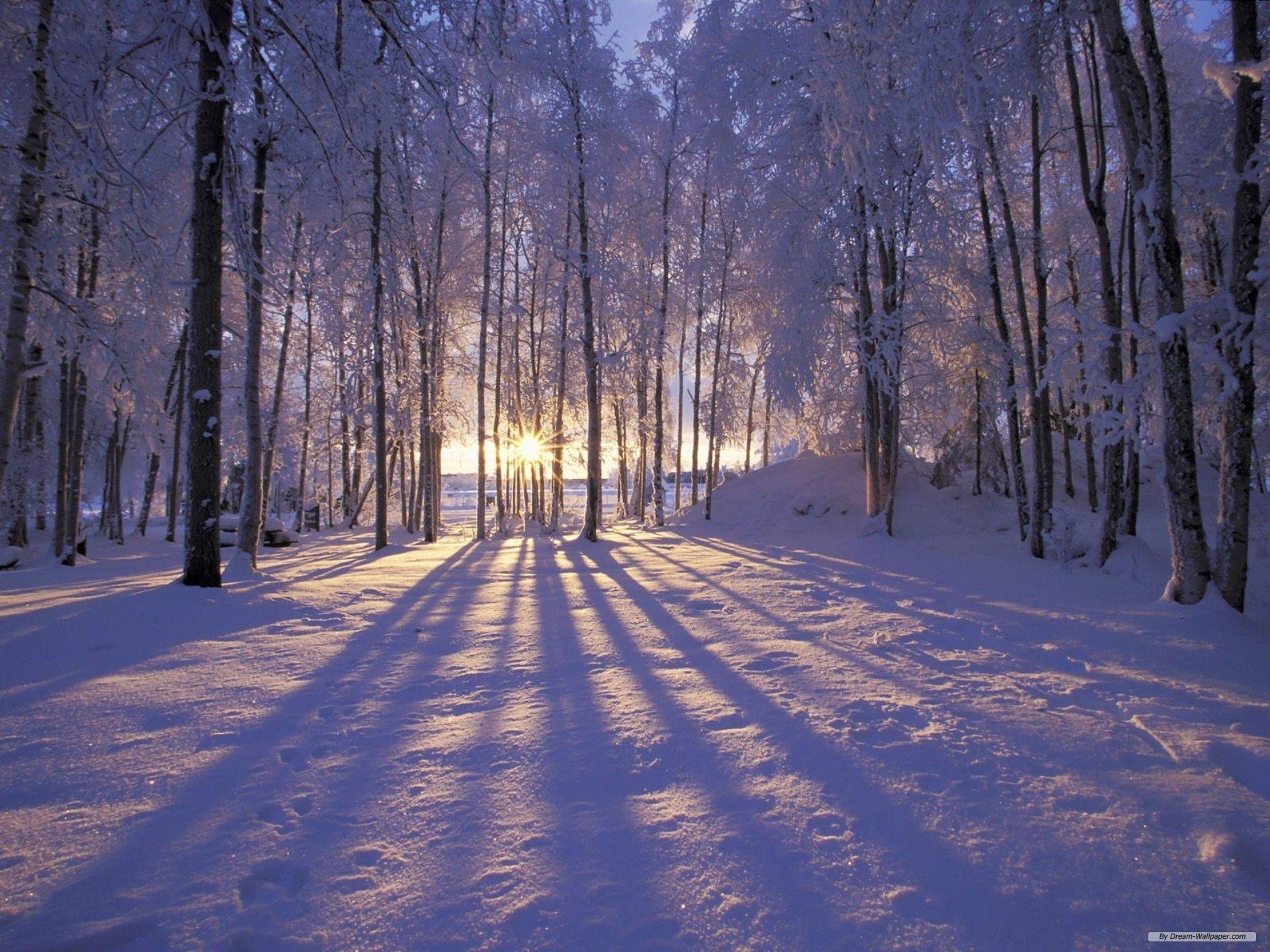 Winter Wonderland Desktop , HD Wallpaper & Backgrounds