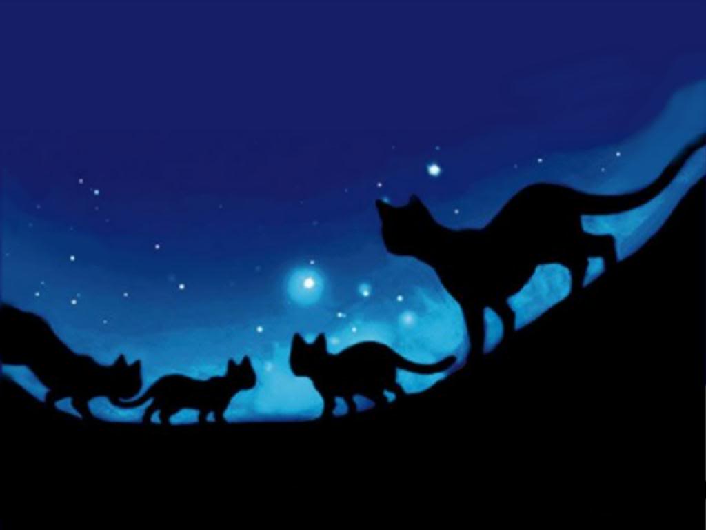 Warrior Cats Wallpapers Desktop , HD Wallpaper & Backgrounds