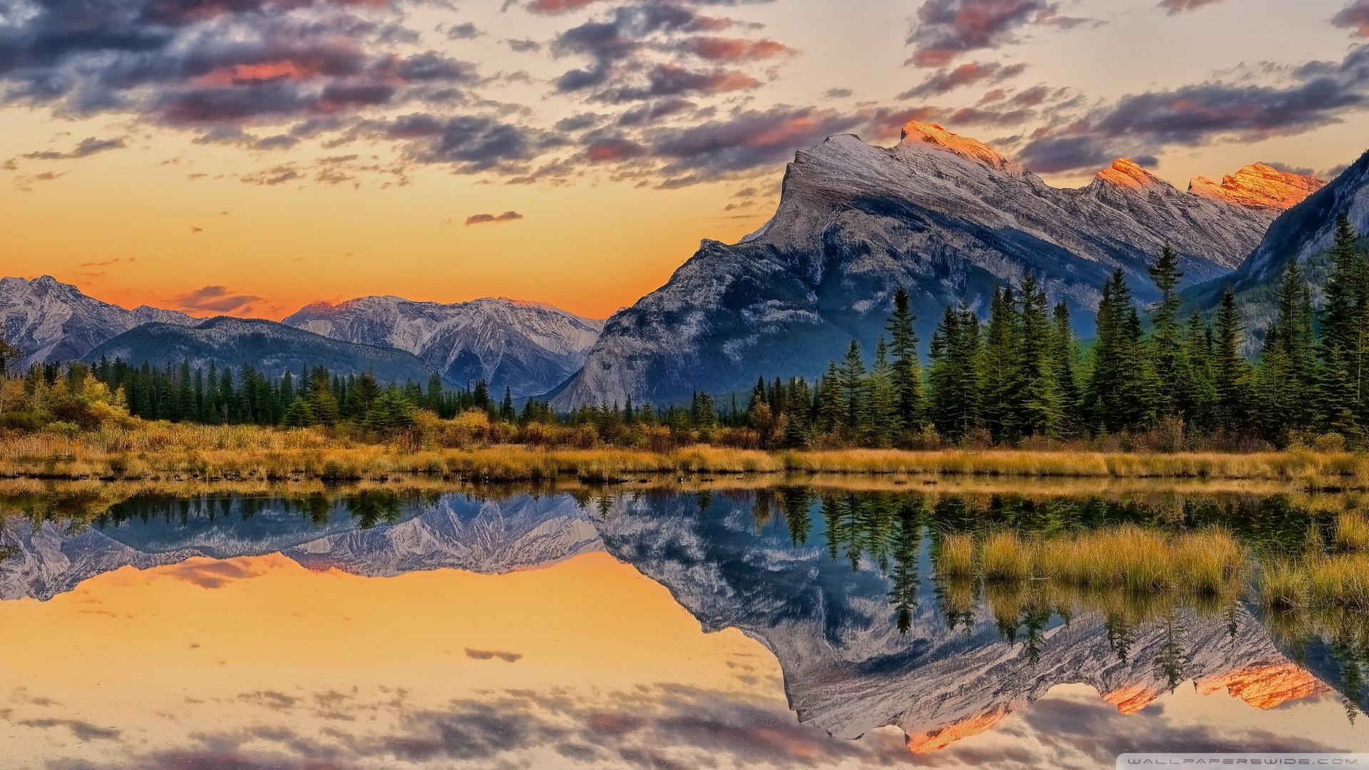 100773856 Wide Hd - Mount Rundle , HD Wallpaper & Backgrounds