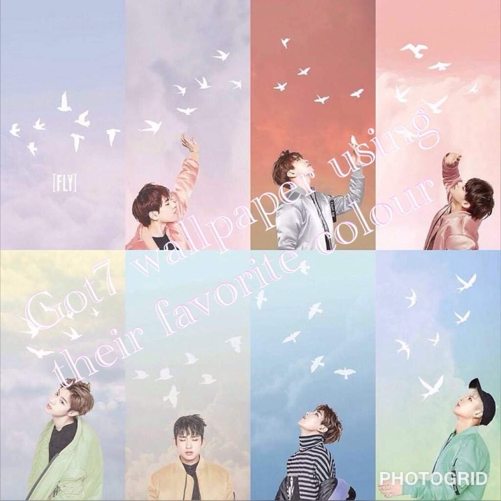 Got7 Wallpaper Using Their Favourite Colour - Got7 Background , HD Wallpaper & Backgrounds