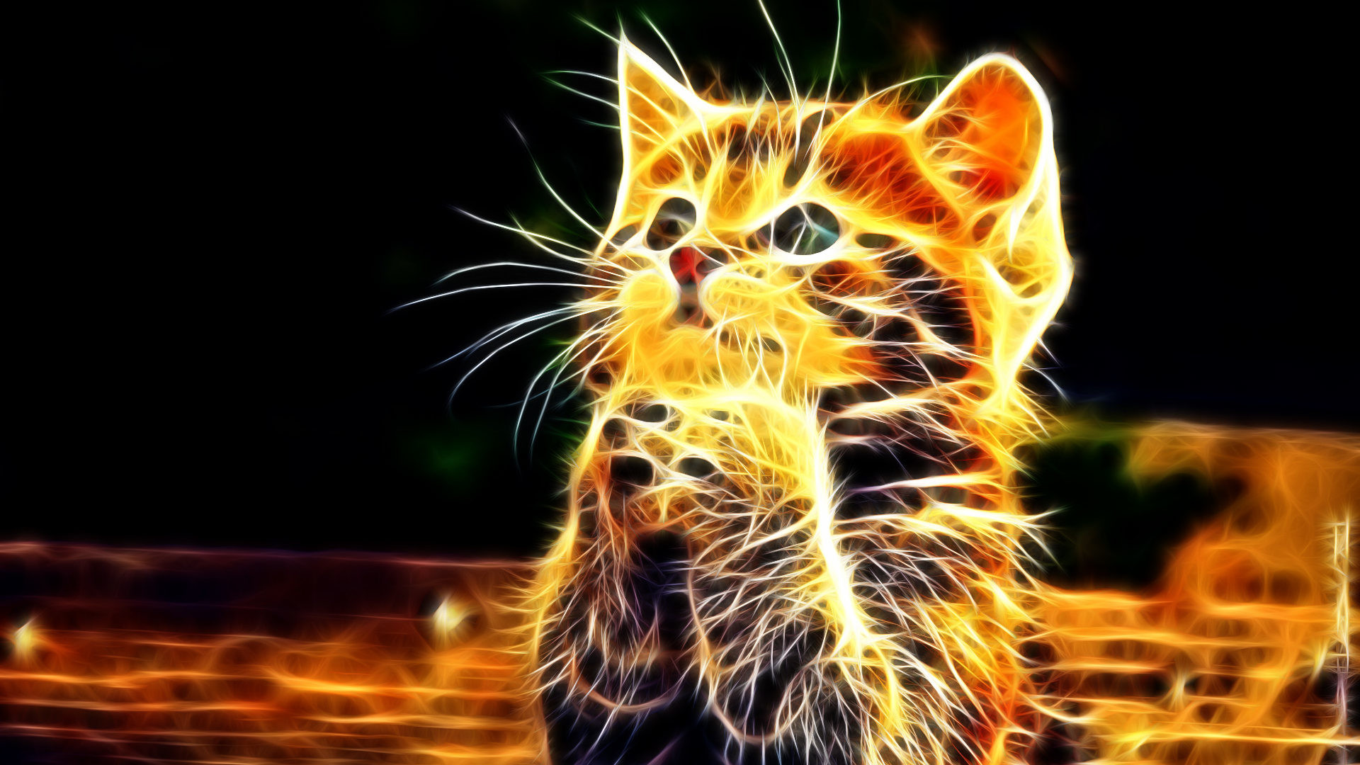 Praying Cat Free Wallpapers High Resolution Wallpaper, - Warriors Cats Desktop Backgrounds , HD Wallpaper & Backgrounds