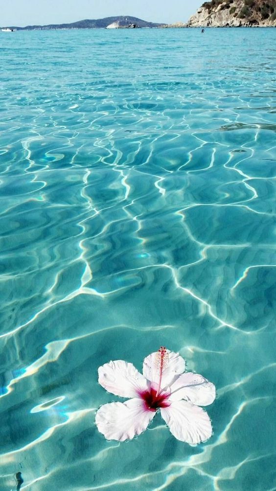 Summer Iphone Wallpapers - Fondos De Pantalla Del Mar , HD Wallpaper & Backgrounds