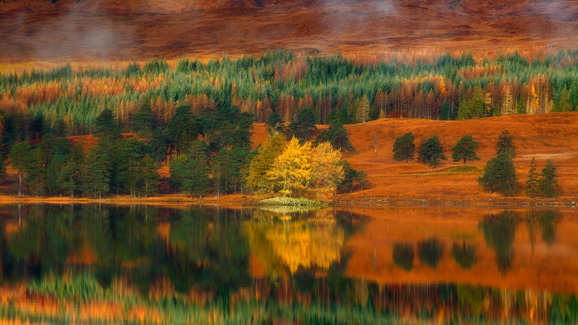 Archive Wallpaper For September, - Larch Trees At Loch Tulla In The Highlands Of Scotland , HD Wallpaper & Backgrounds