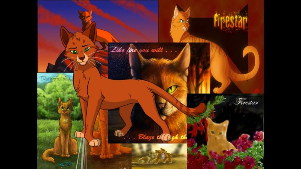 Here Are Some Warrior Cats Wallpaper - Warrior Cats Firestar , HD Wallpaper & Backgrounds