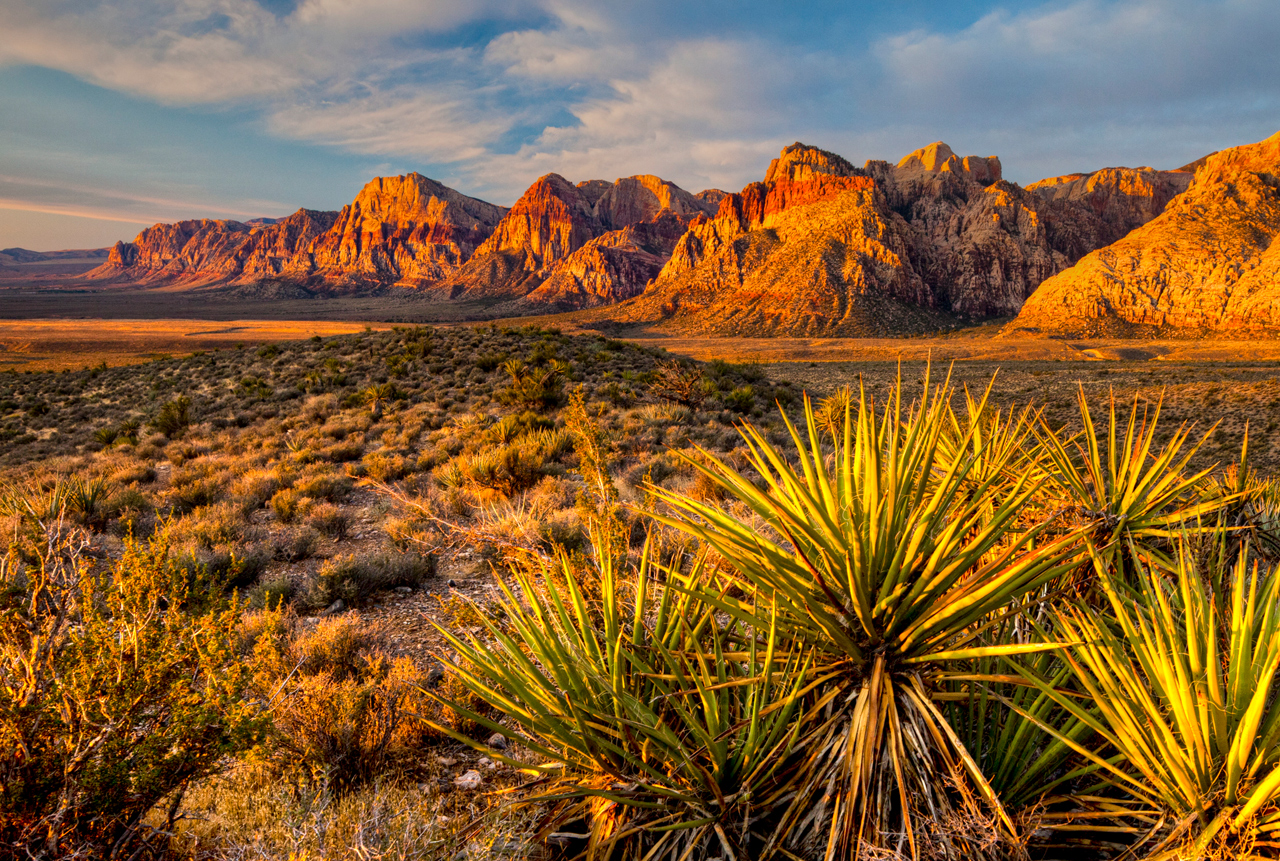 January Conservationlands15 Social Media Takeover Download - Red Rock Canyon , HD Wallpaper & Backgrounds