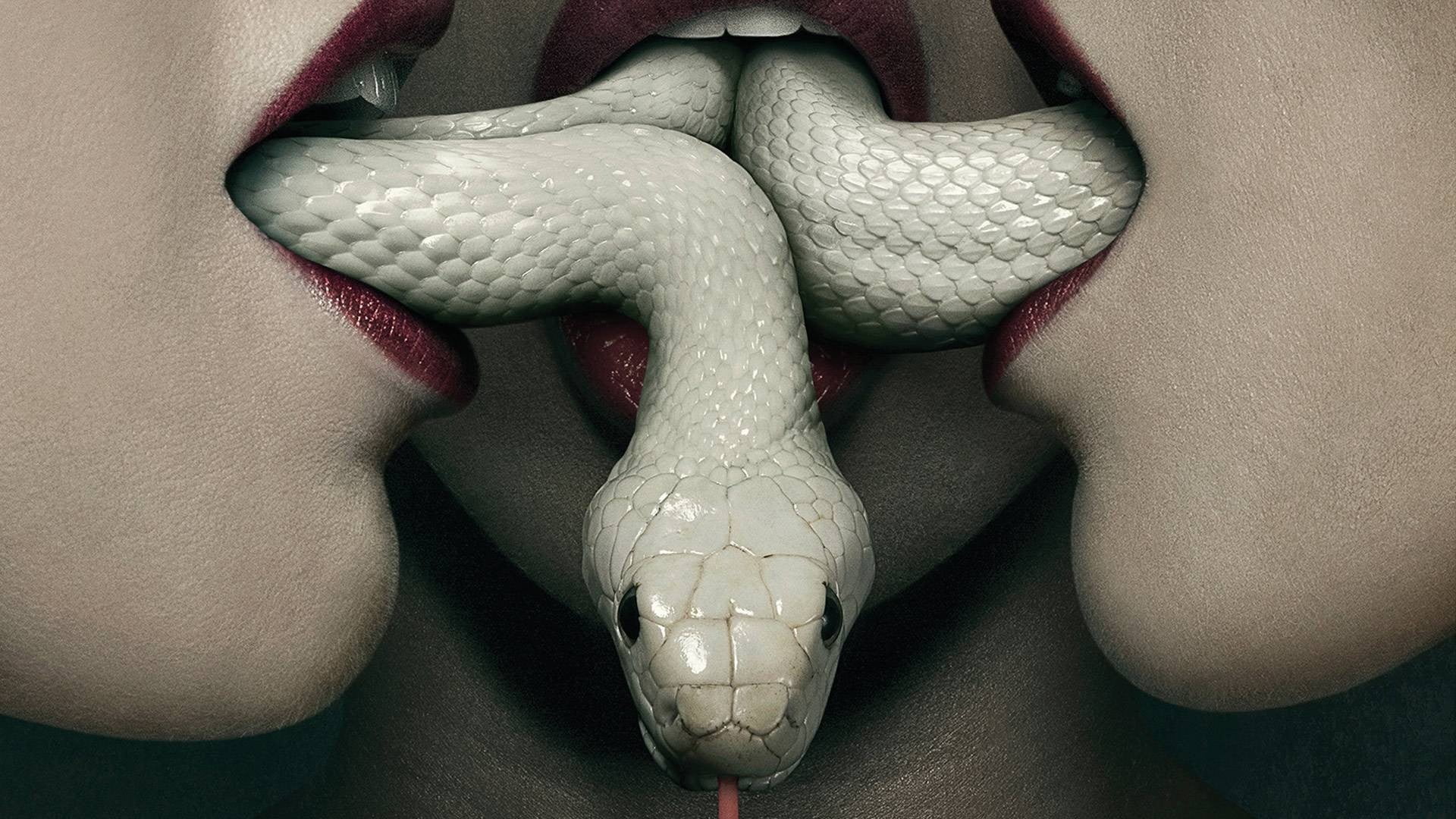 White Snake Hd Wallpaper - American Horror Story Coven Poster , HD Wallpaper & Backgrounds