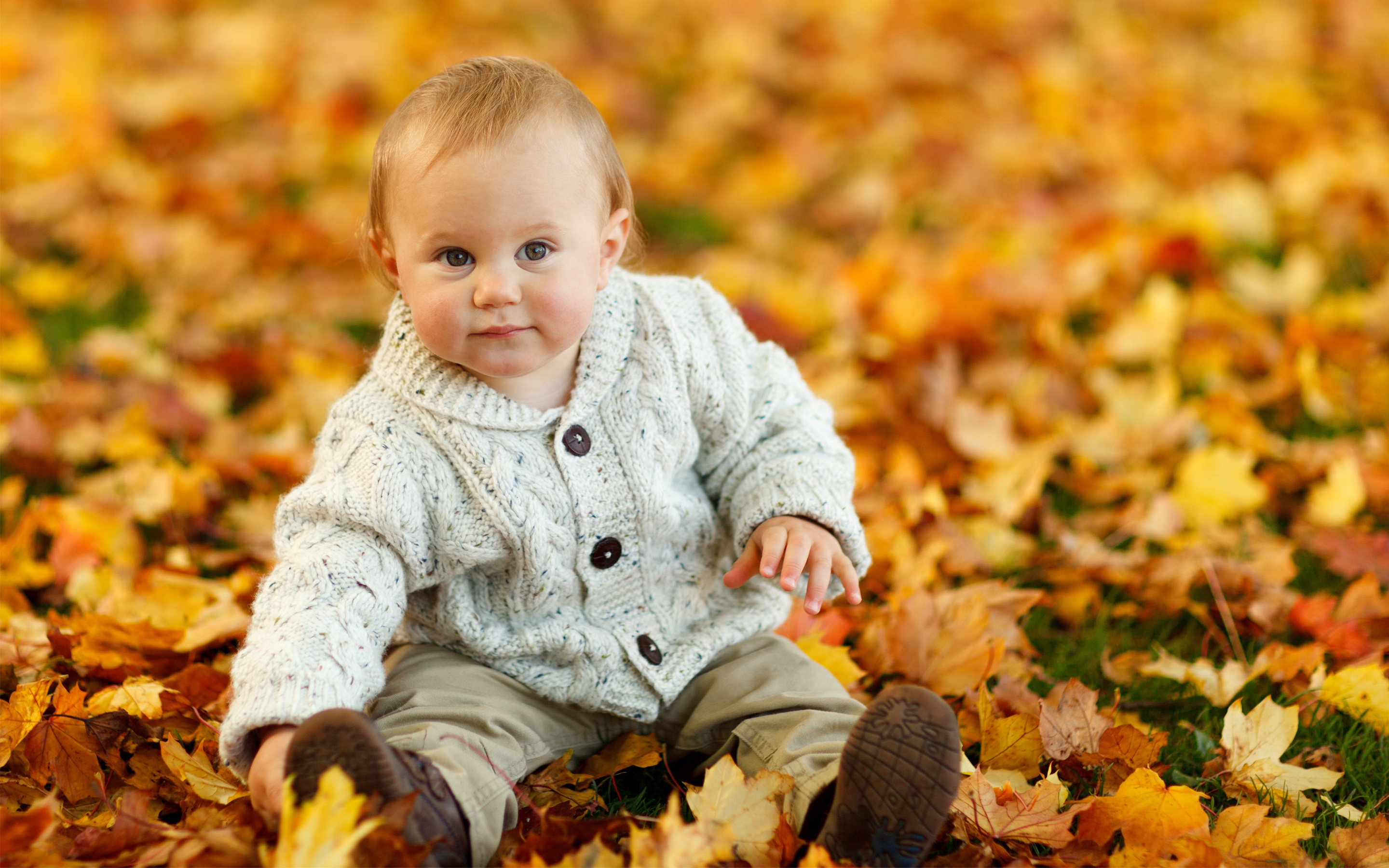 Sweet Baby Wallpaper In Autumn You Can Download A Baby - Baby Autumn , HD Wallpaper & Backgrounds