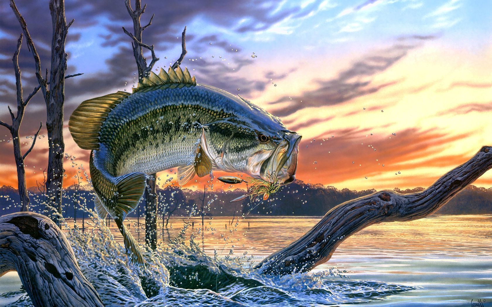 Bass Fishing , HD Wallpaper & Backgrounds