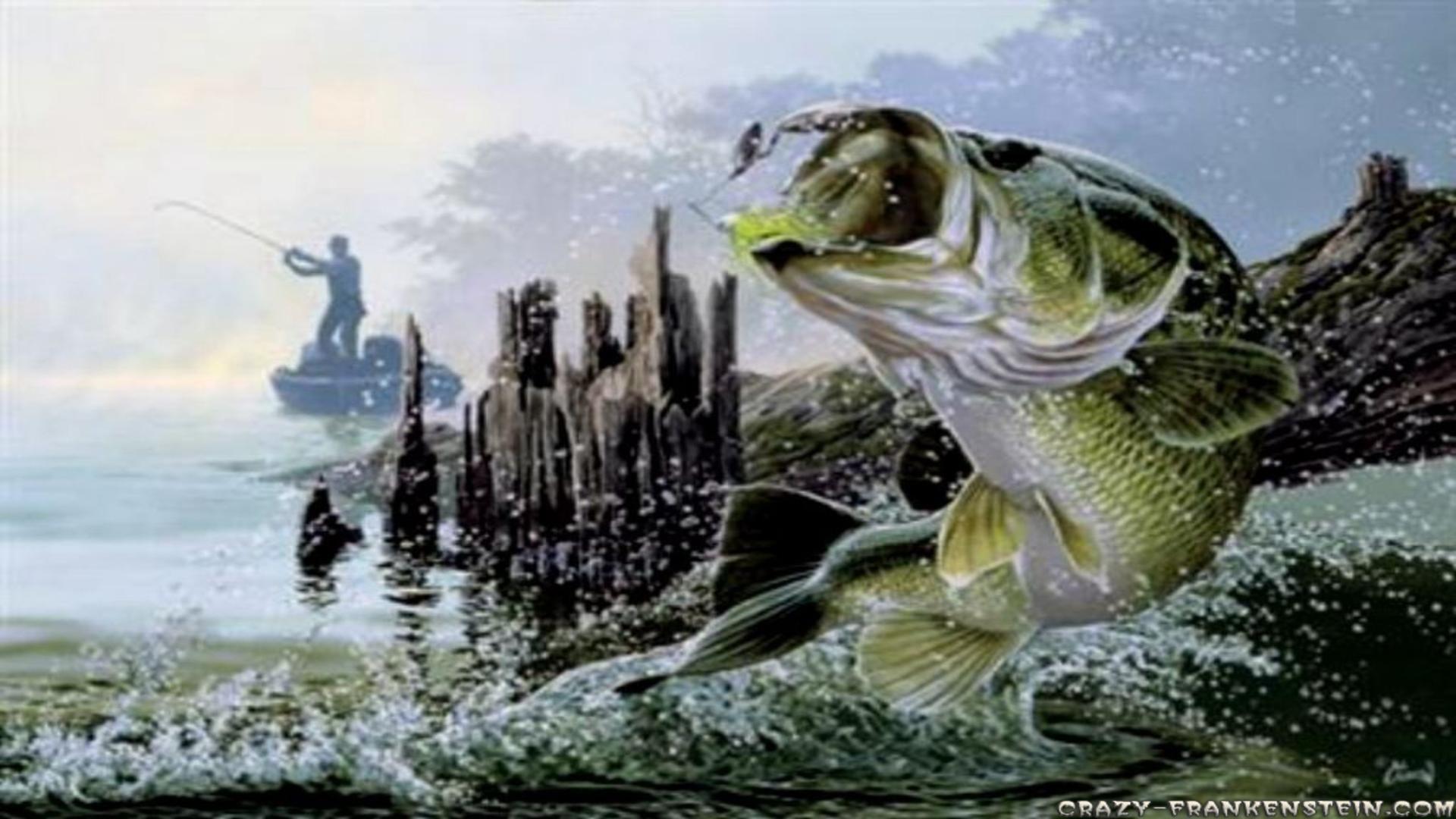 Fishing - Bass Fishing , HD Wallpaper & Backgrounds