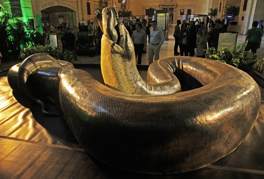Ular Titanoboa - Most Big Snake In The World , HD Wallpaper & Backgrounds
