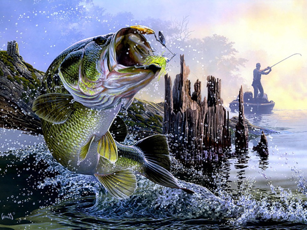 Download - Bass Fishing , HD Wallpaper & Backgrounds