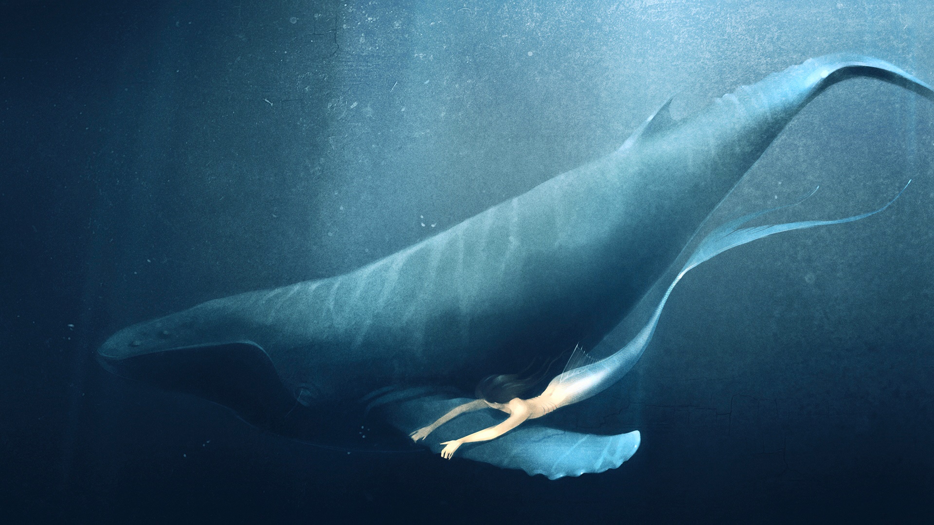 Landscape Portrait - Mermaid Whale , HD Wallpaper & Backgrounds