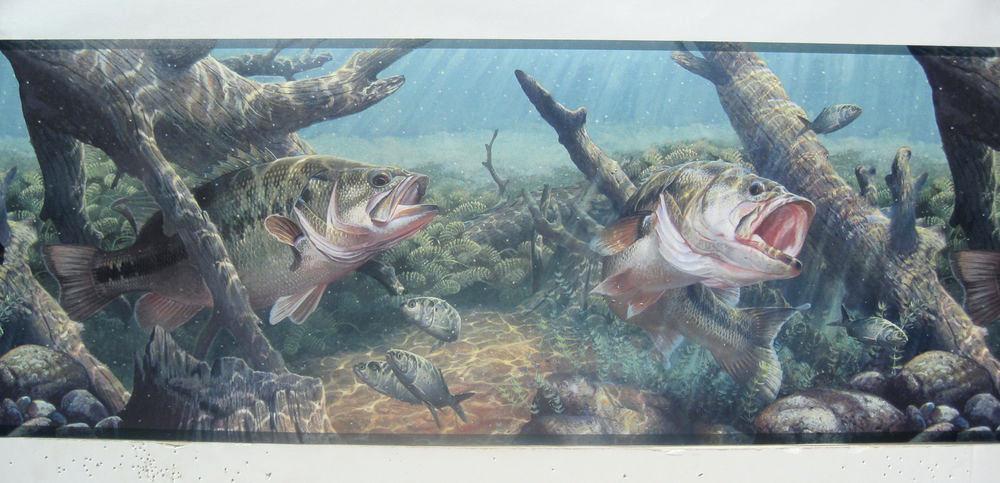 Bass Wallpaper Border Bass Fishing Wallpaper Border - Largemouth Bass , HD Wallpaper & Backgrounds