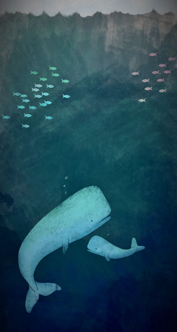 Blue Whale Cool Backgrounds Wallpapers - Whale Underwater Illustration , HD Wallpaper & Backgrounds