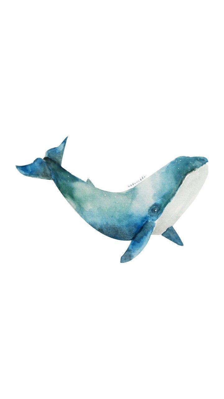 Whale Watercolor By Me - Watercolor Whale , HD Wallpaper & Backgrounds