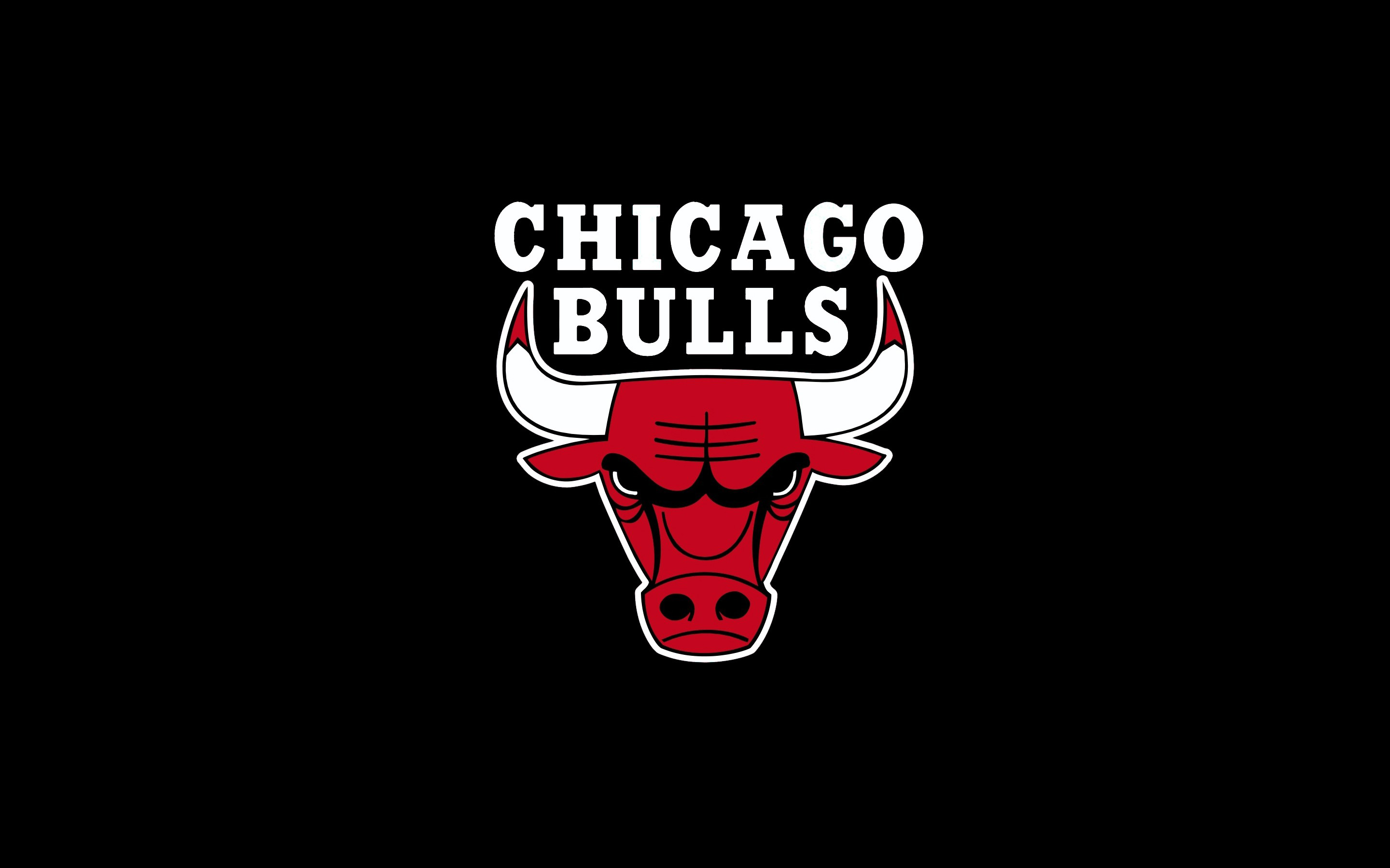 Chicago Bulls Black Logo , HD Wallpaper & Backgrounds