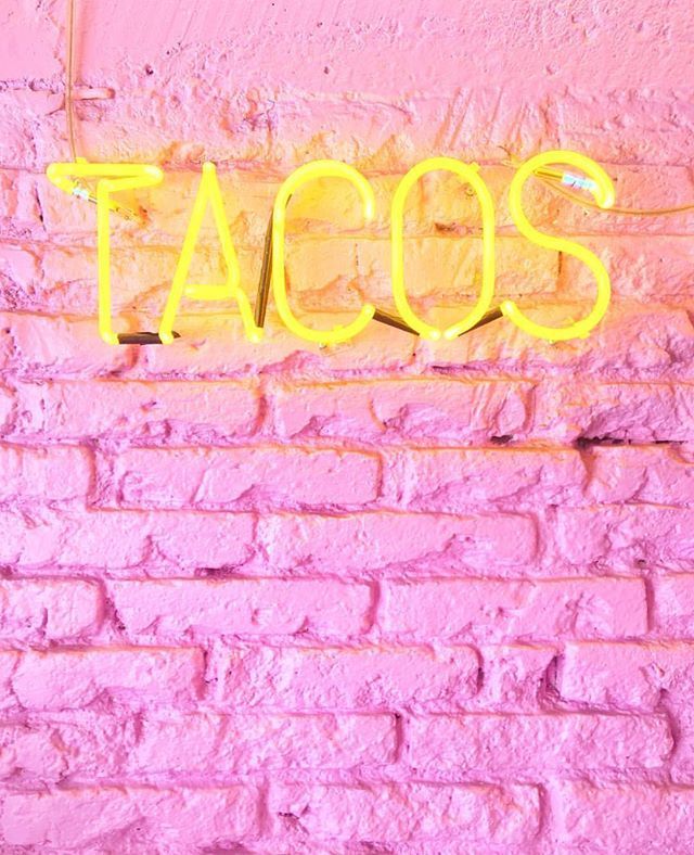 @xuzzi's Neon Tacos - Pink Brick Wall With Neon Lights , HD Wallpaper & Backgrounds