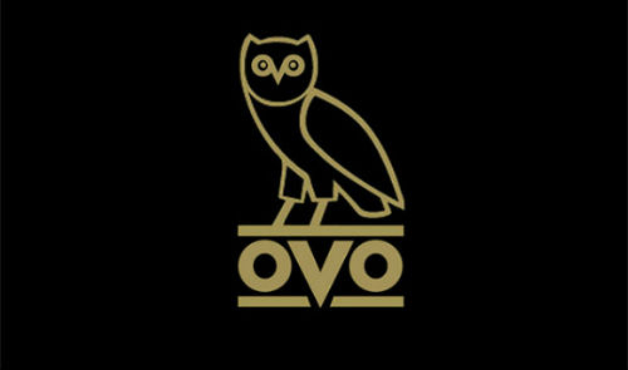 Drake Owl Wallpaper Phone - Drake 0 To 100 Album Cover , HD Wallpaper & Backgrounds