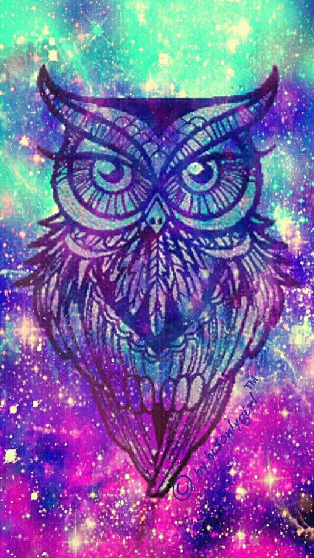 Owl - Cool Owl Wallpaper For Iphone , HD Wallpaper & Backgrounds