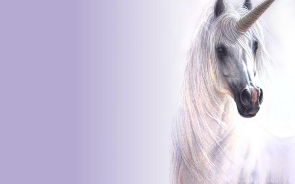 White Unicorn Wallpaper Desktop Background - Unicorn Real Drawing , HD Wallpaper & Backgrounds