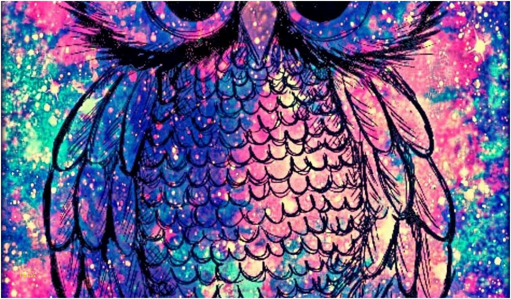 Owl Wallpapers Best Of Iphone X Wallpaper Owl Awesome - Stained Glass , HD Wallpaper & Backgrounds
