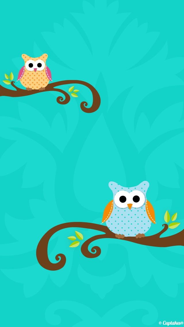 17 Best Ideas About Owl Wallpaper Iphone On Pinterest - Iphone Owl Lucu , HD Wallpaper & Backgrounds