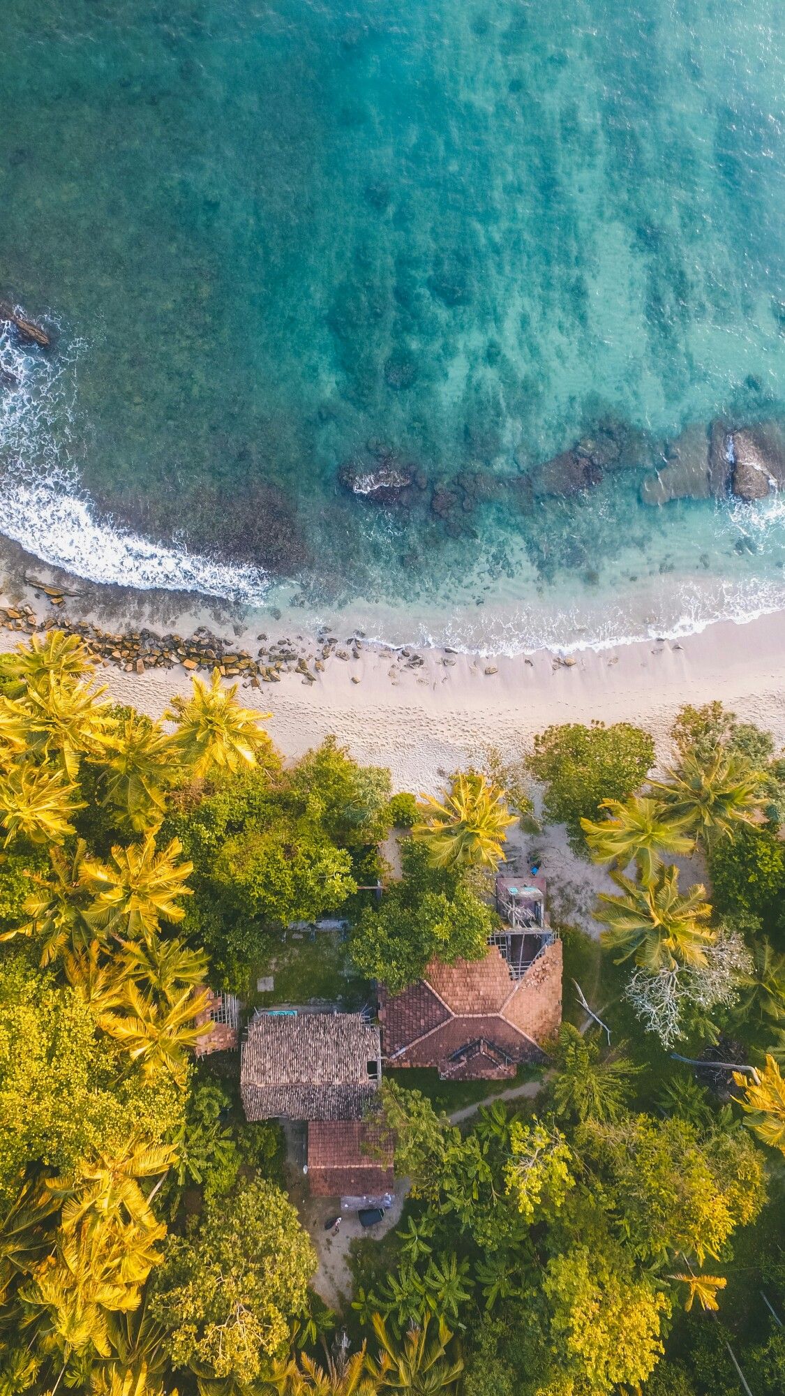 Drone View From Above, The Ocean, Palm Trees - Self Care Is Giving The World The Best Of You Instead , HD Wallpaper & Backgrounds