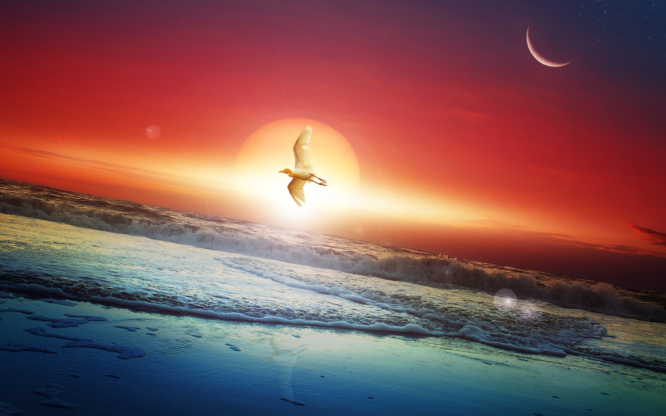 Moon Sun Art - Sun And Moon Hd , HD Wallpaper & Backgrounds