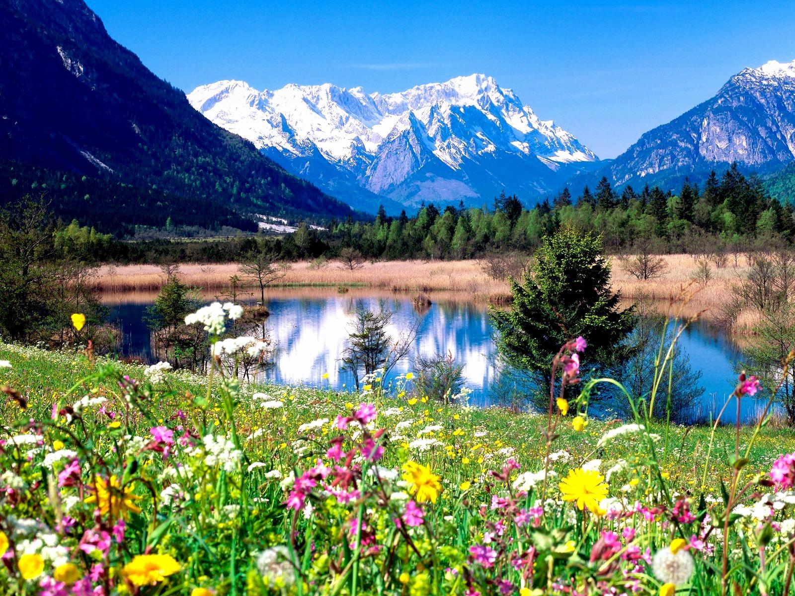 Spring Wallpaper For Desktop - Beautiful Nature Scenes , HD Wallpaper & Backgrounds