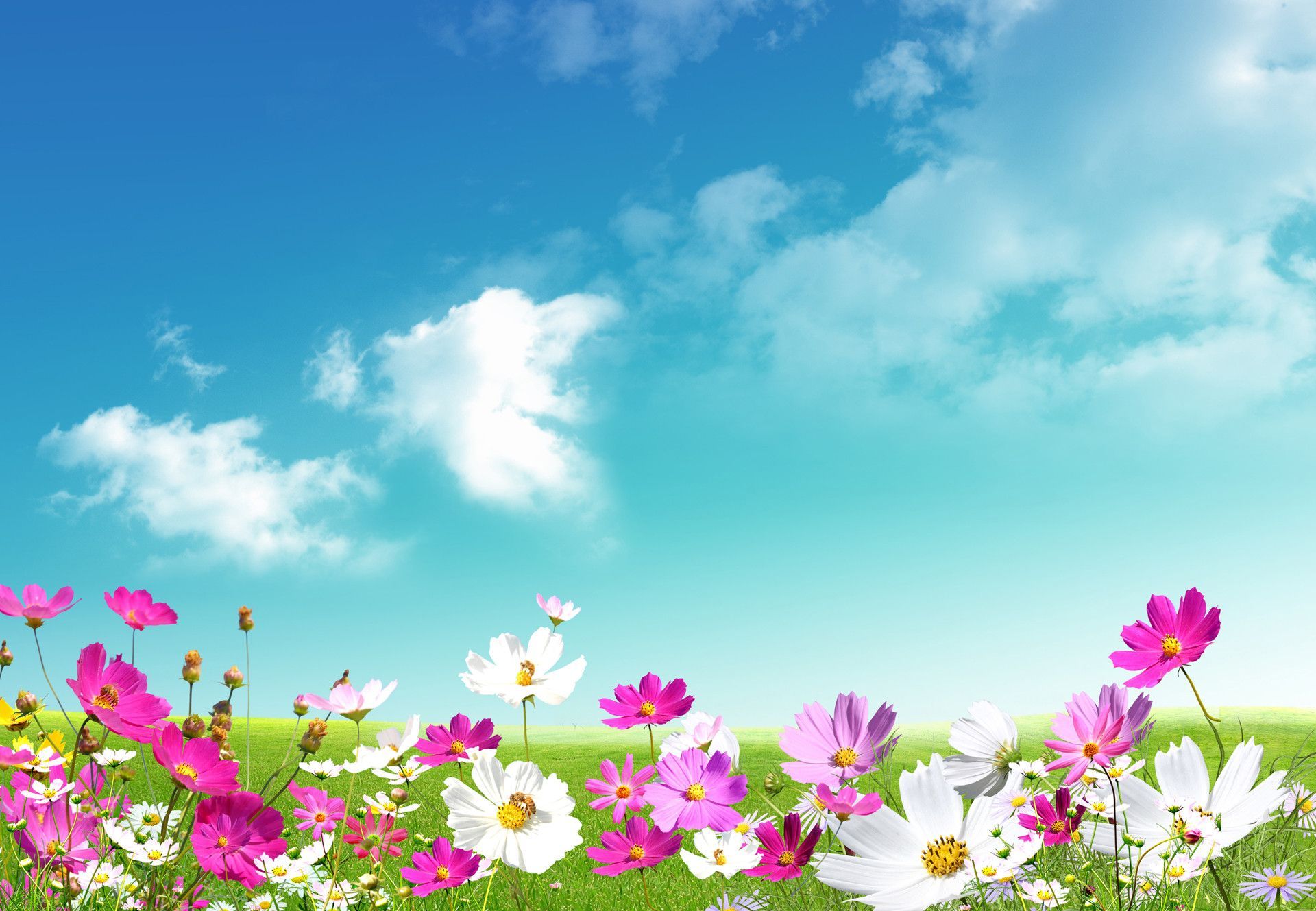 Spring Wallpapers High Resolution - Spring Time Desk Top , HD Wallpaper & Backgrounds