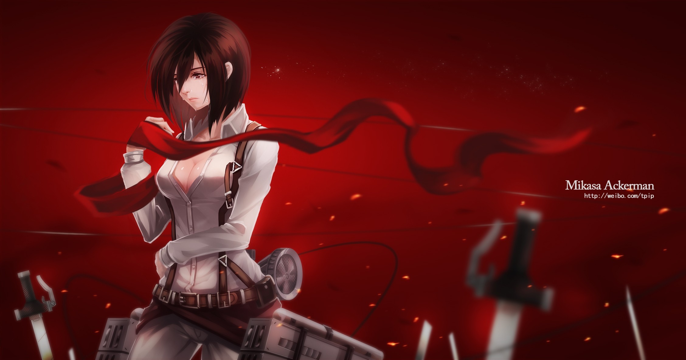 Mikasa - Attack On Titan Wallpaper Hd Mikasa , HD Wallpaper & Backgrounds