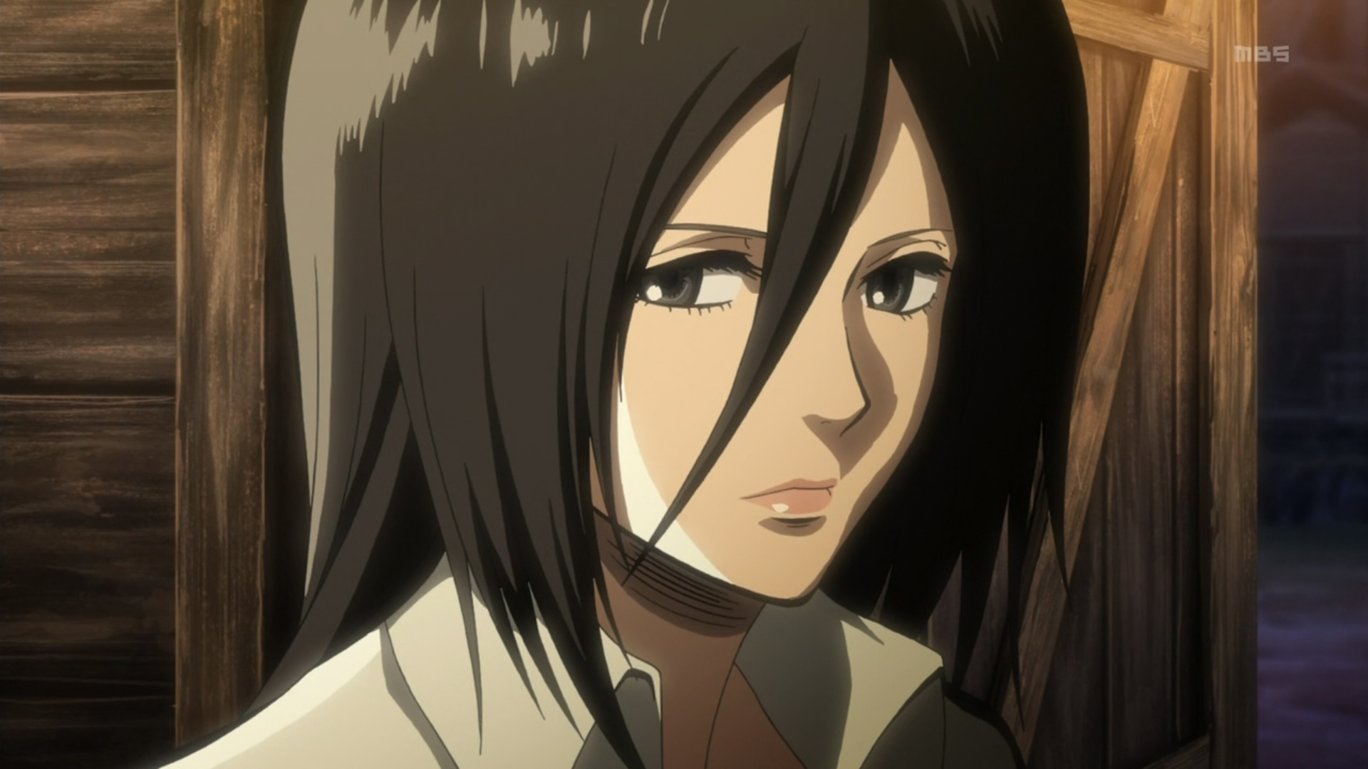 Mikasa Ackerman Hd Background Wallpaper - Snk Mikasa , HD Wallpaper & Backgrounds