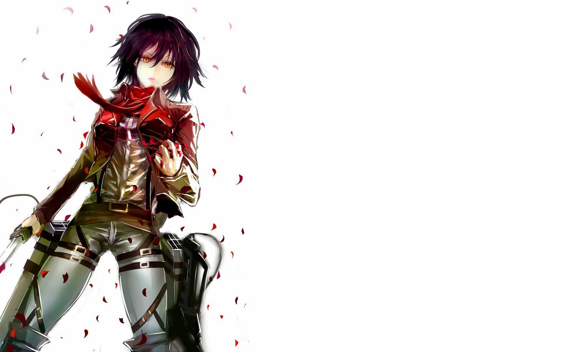 Shingeki No Kyojin Wallpaper Mikasa , HD Wallpaper & Backgrounds