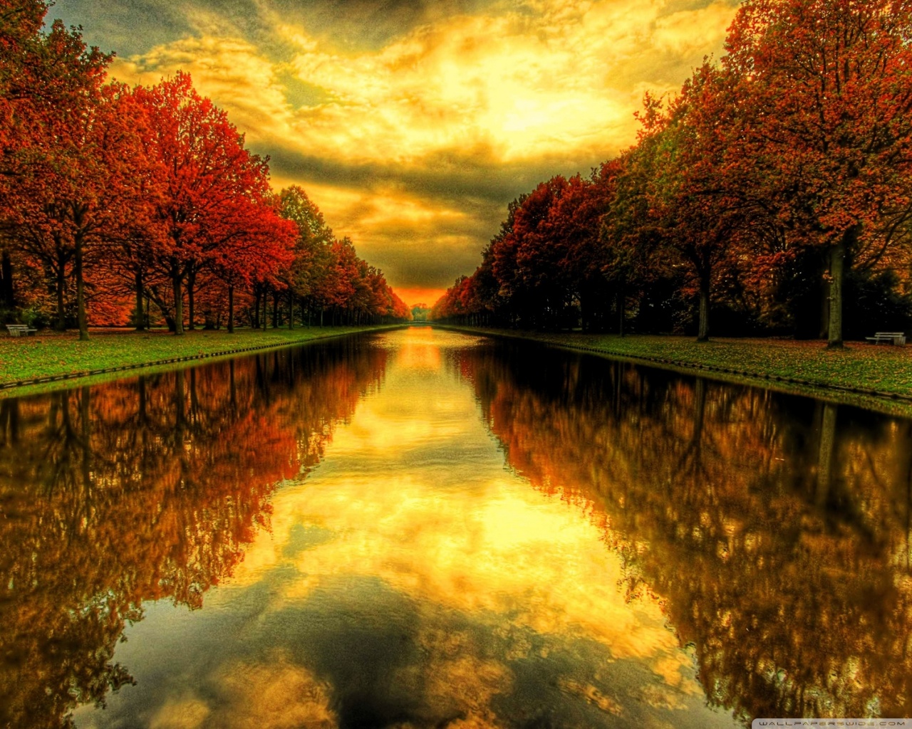 Fall Phone Wallpapers Group - Fall Wallpaper Ipad , HD Wallpaper & Backgrounds