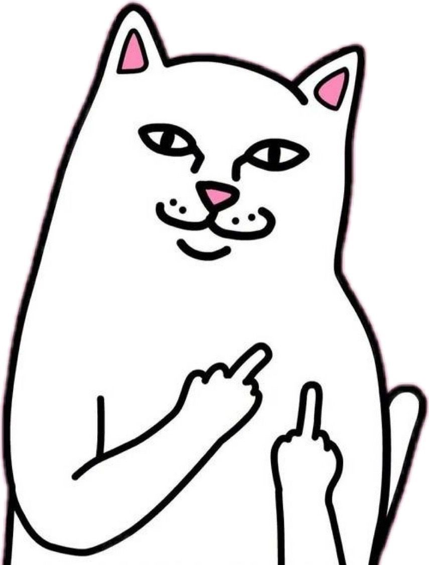 Cat Sticker With Middle Finger , HD Wallpaper & Backgrounds