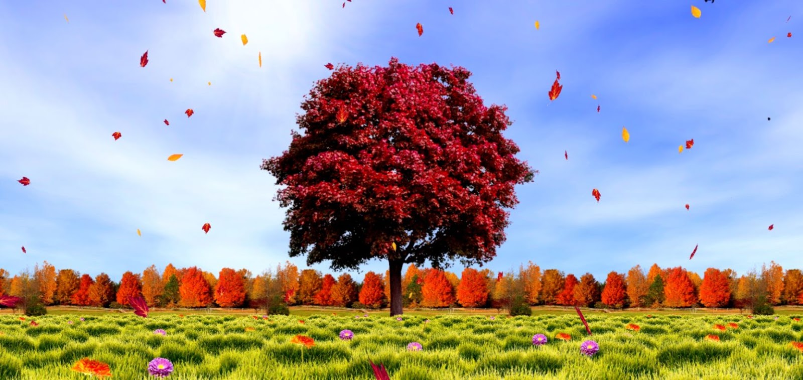 Delightful Ideas Fall Live Wallpaper Top 11 Autumn - Autumn Tree Wallpaper Hd , HD Wallpaper & Backgrounds