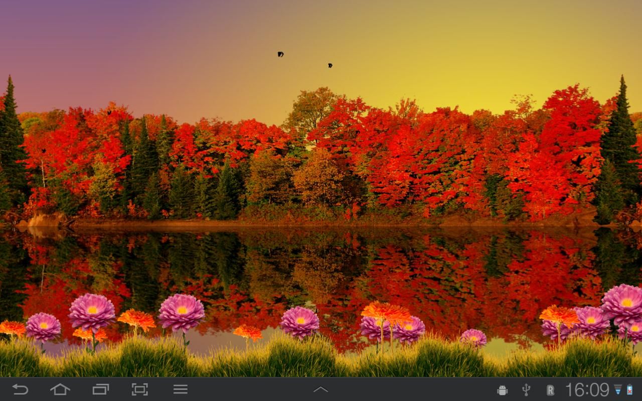 Lake George New York Wallpaper - Live Wallpapers Desktop Autumn , HD Wallpaper & Backgrounds