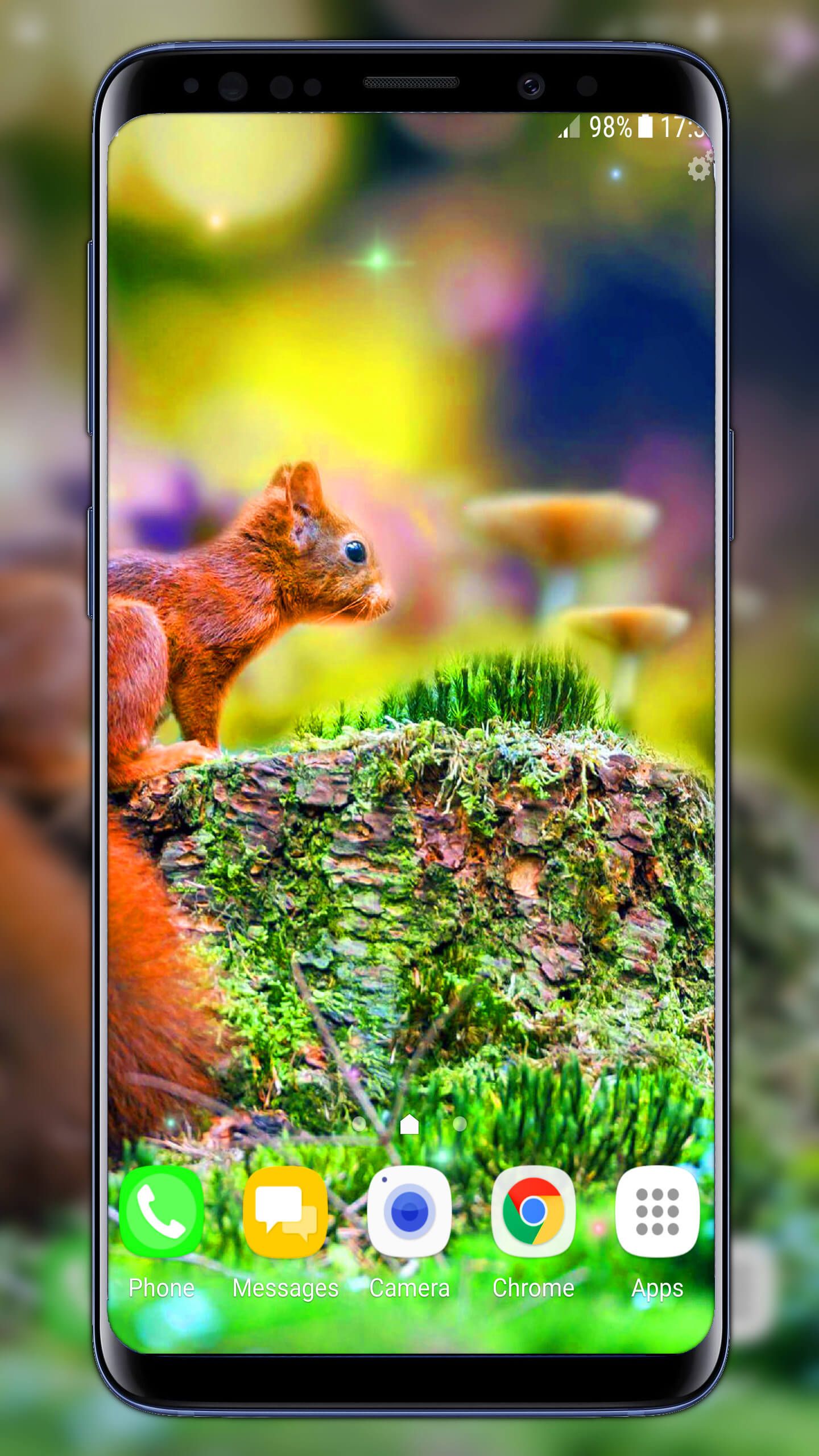 Autumn Live Wallpaper - Eurasian Red Squirrel , HD Wallpaper & Backgrounds