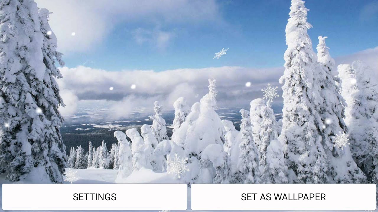 Snowfall Winter Live Wallpaper - Winter Live , HD Wallpaper & Backgrounds